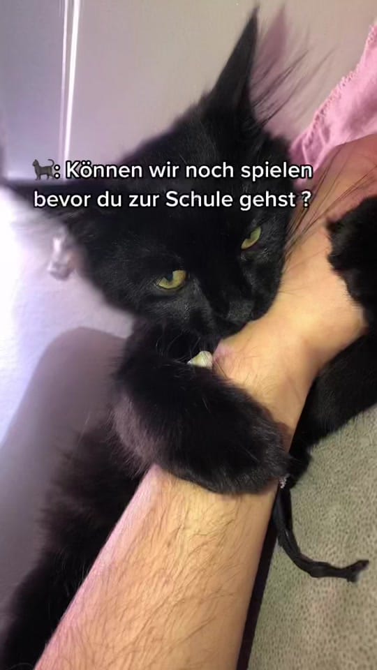 Post 9 by Can on TikTok (video)