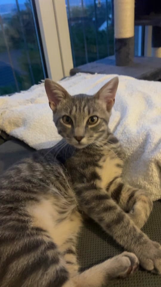Post 6 by Can on TikTok (video)