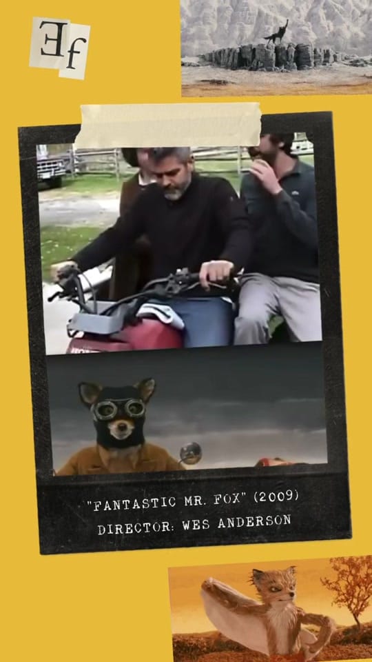 Post 10 by essential_films on TikTok (video)