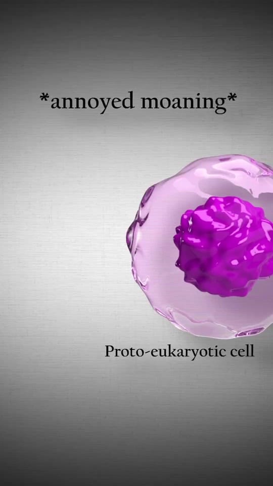 Post 9 by Dr. Valine on TikTok (video)