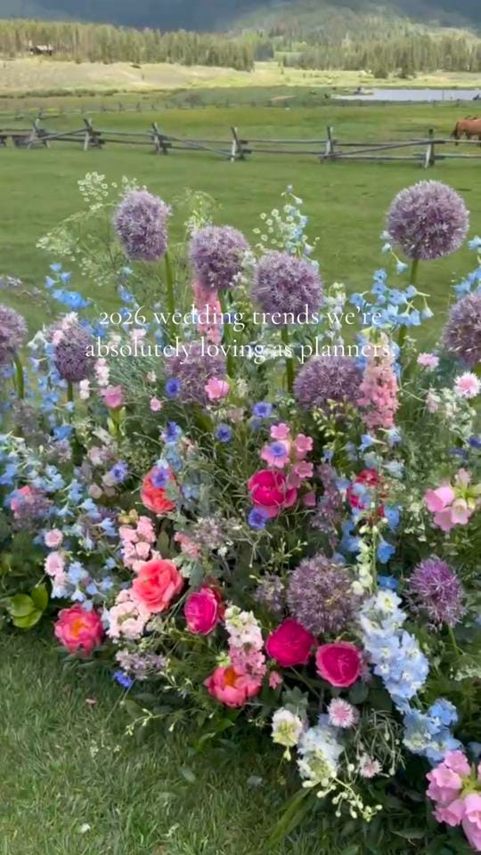 Post 7 by CallunaEvents on TikTok (video)