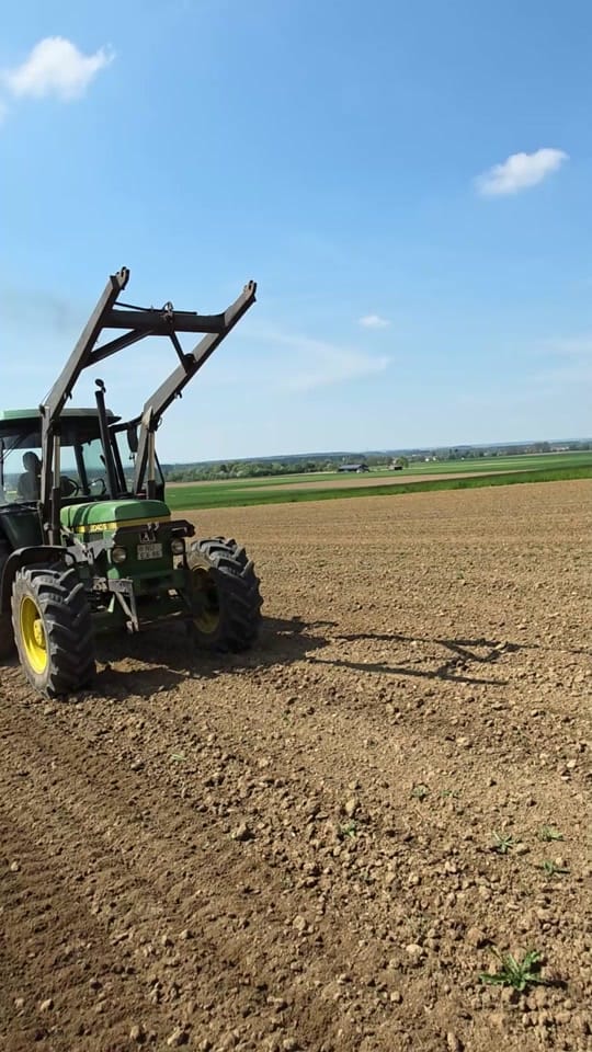Post 3 by Benz_de_Liga on TikTok (video)