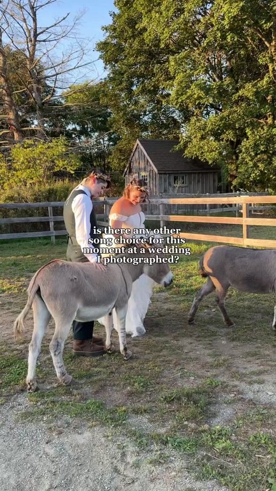 Post 5 by Molly Adams | Photographer on TikTok (video)