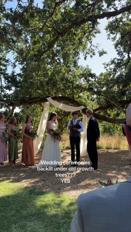 Post 4 by Oregon Wedding Photographer on TikTok (video)