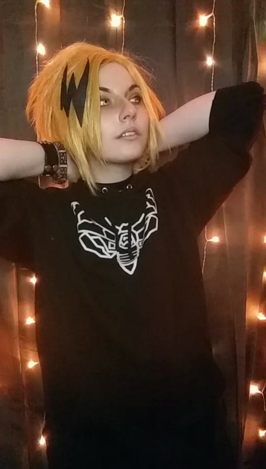 Post 9 by Birb on TikTok (video)