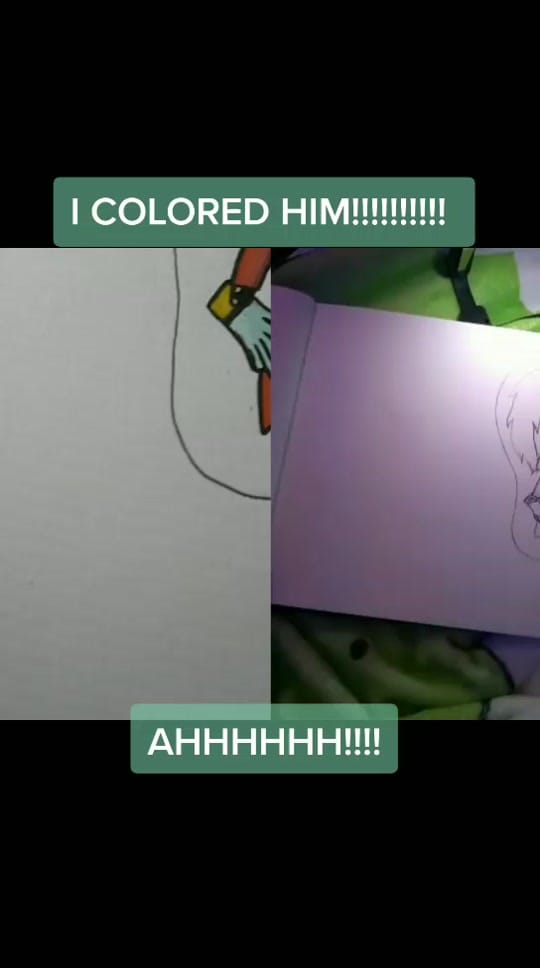 Post 3 by Birb on TikTok (video)
