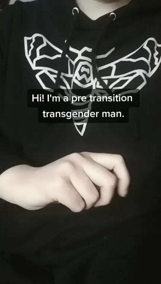 Post 4 by Birb on TikTok (video)