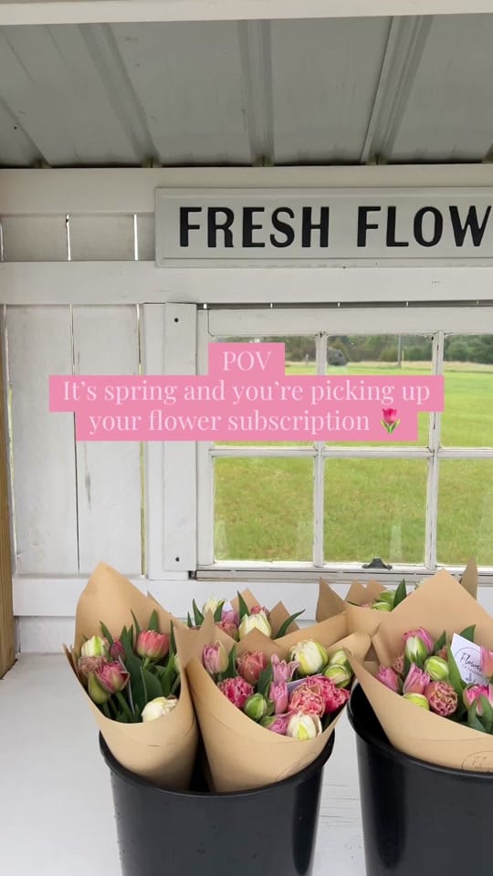Post 7 by Flowers on Faussett on TikTok (video)
