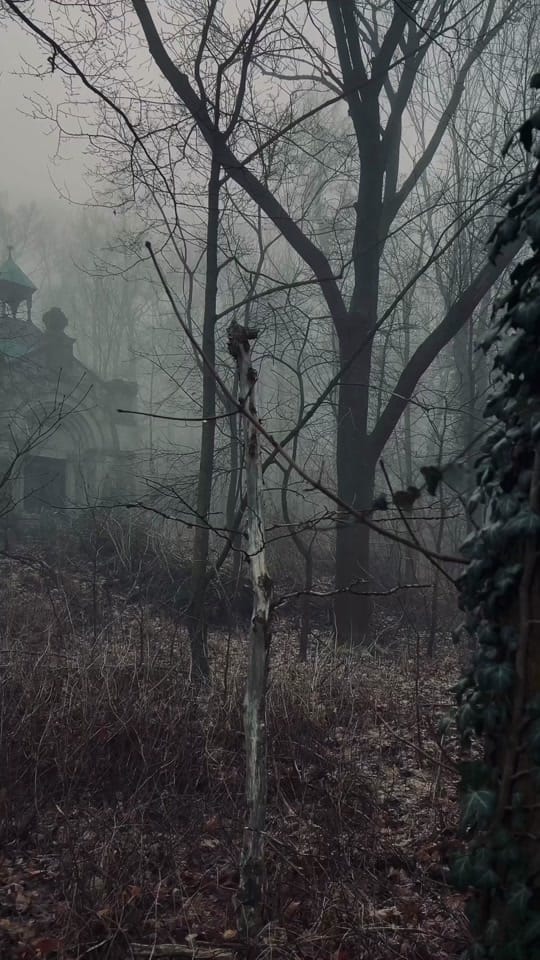 Post 10 by Chris Maragoth on TikTok (video)