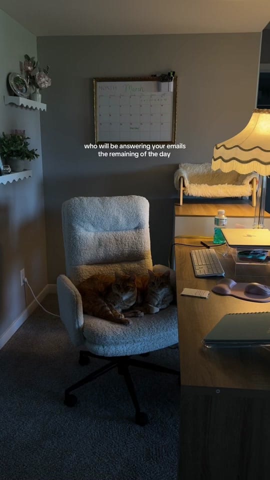 Post 1 by MISS MATRIMONY on TikTok (video)
