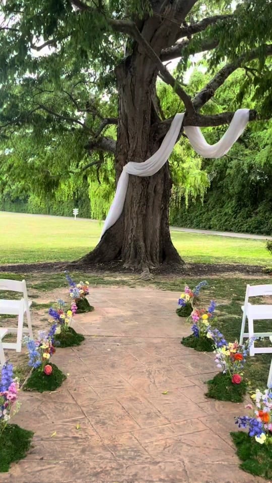 Post 7 by waverlyestateevents on TikTok (video)