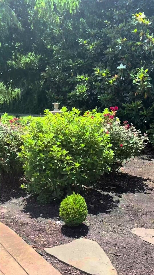 Post 2 by waverlyestateevents on TikTok (video)