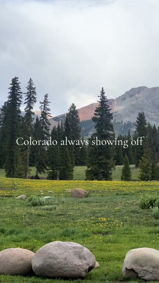 Post 4 by Laura & Hugo | Photo + Video on TikTok (video)