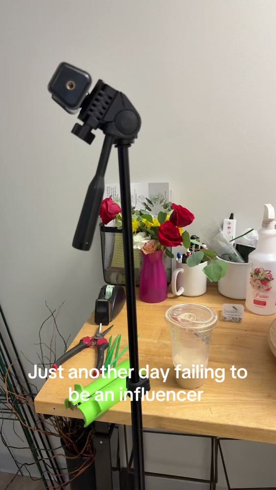 Post 2 by EVANGELINE on TikTok (video)