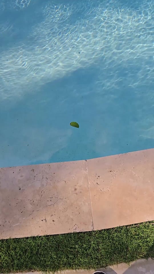 Post 9 by Jessica Maldonado on TikTok (video)