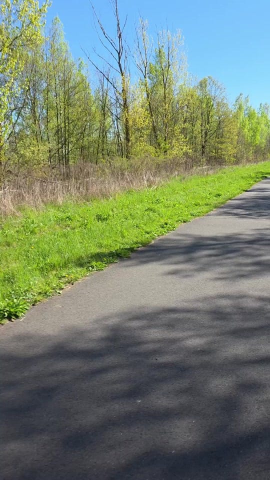 Post 4 by SchnauzbartEntertainment on TikTok (video)