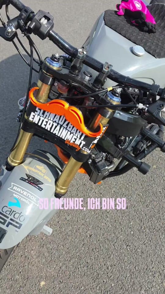 Post 2 by SchnauzbartEntertainment on TikTok (video)