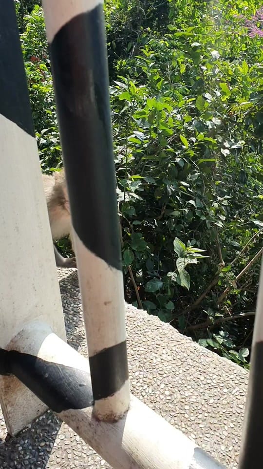 Post 6 by Robert on TikTok (video)