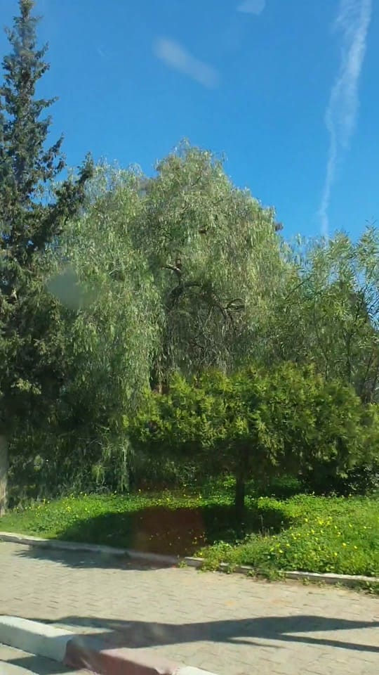 Post 9 by Robert on TikTok (video)