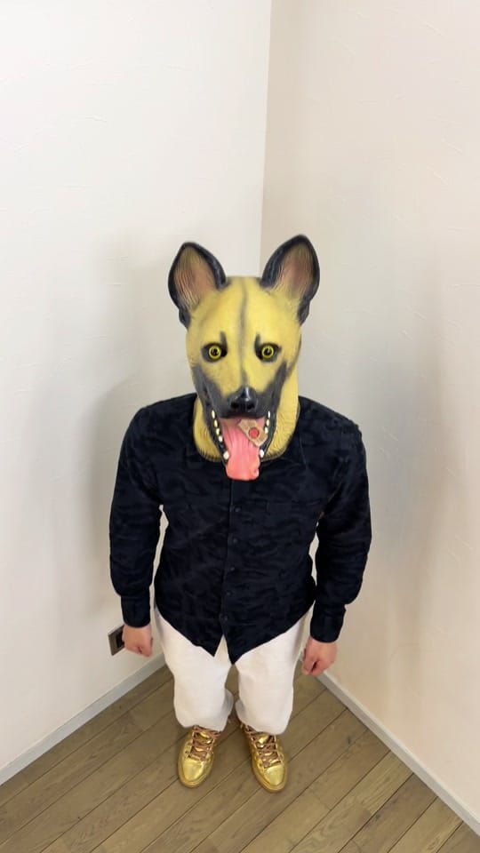Post 5 by ブレーメンの音楽隊 on TikTok (video)