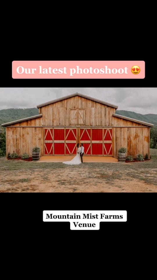 Post 7 by mountainmistvenue on TikTok (video)