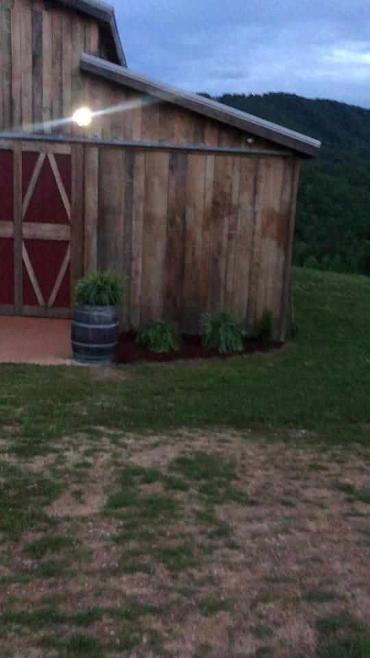 Post 10 by mountainmistvenue on TikTok (video)