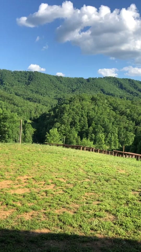 Post 5 by mountainmistvenue on TikTok (video)