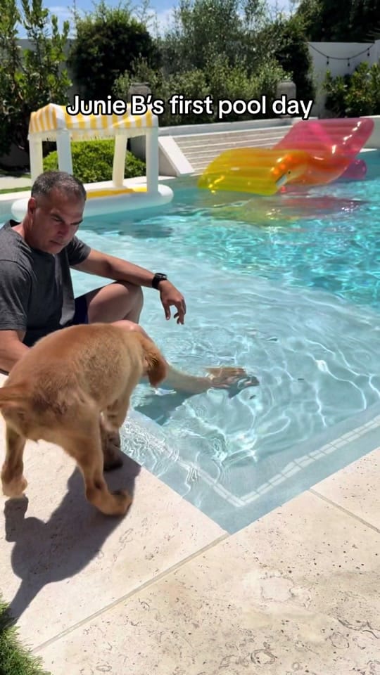 Post 8 by Ashley on TikTok (video)