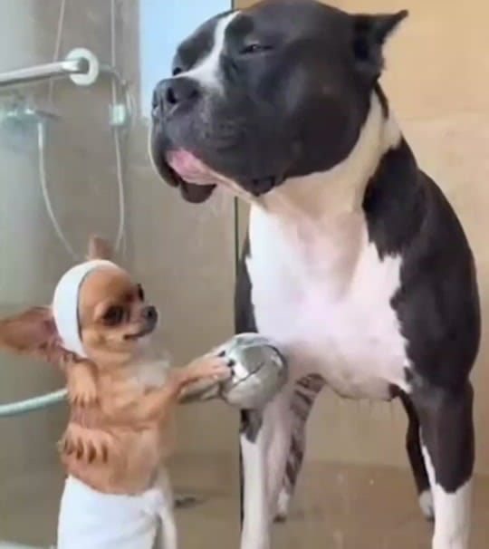 Post 1 by 🔥👑Masterking👑🔥 on TikTok (video)