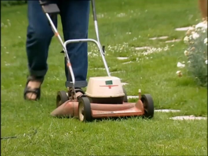 Post 10 by 🔥👑Masterking👑🔥 on TikTok (video)