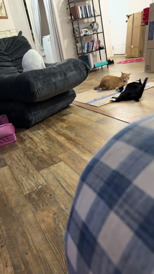 Post 1 by Kayteebaez16 on TikTok (video)