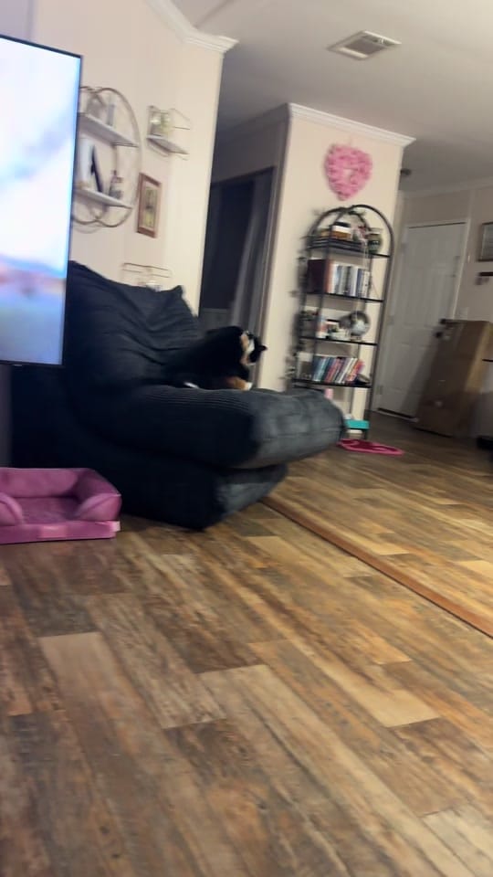 Post 10 by Kayteebaez16 on TikTok (video)