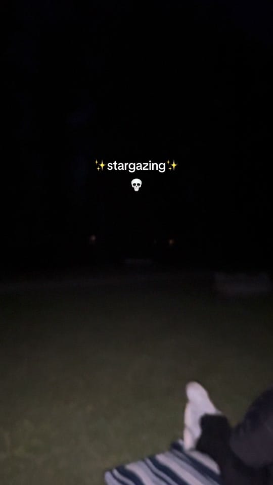 Post 6 by Lily Becker on TikTok (video)