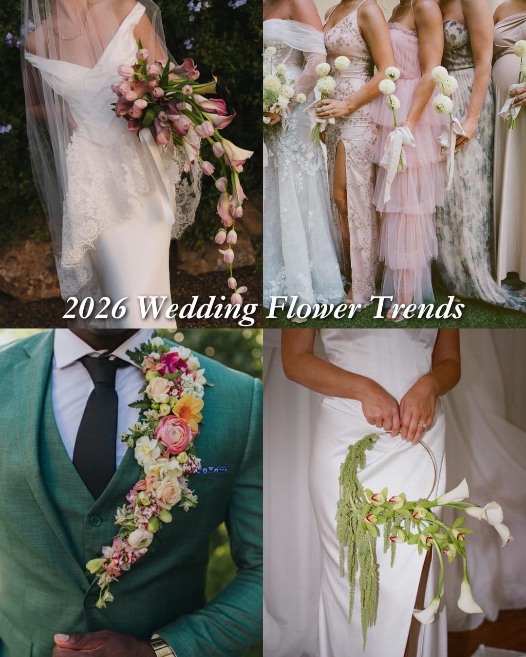 Post 4 by The Sixpence on TikTok (video)