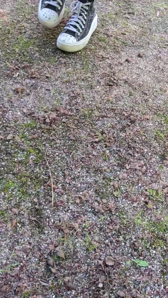 Post 8 by Mel on TikTok (video)
