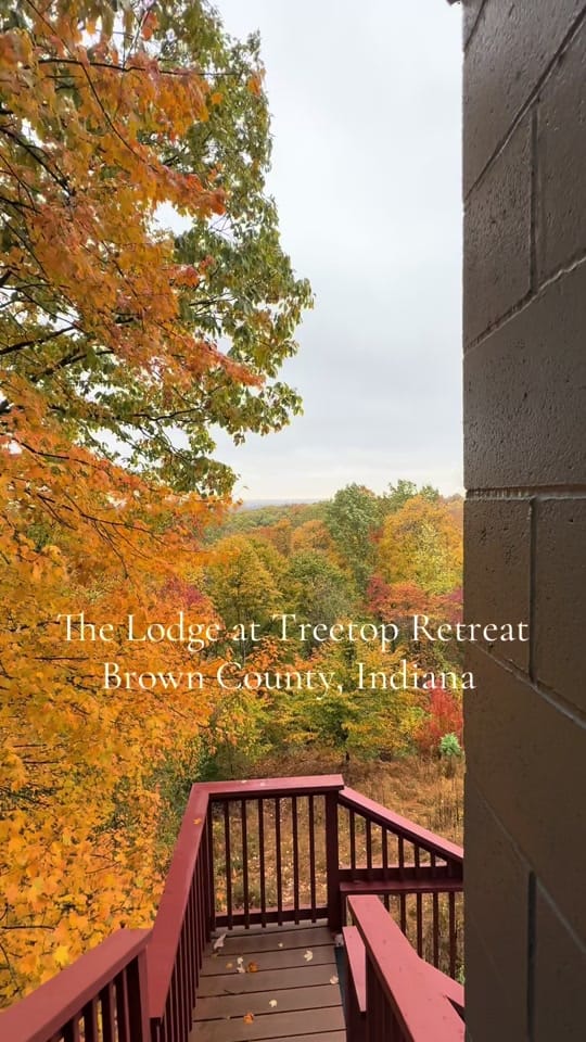Post 4 by treetop_retreat on TikTok (video)