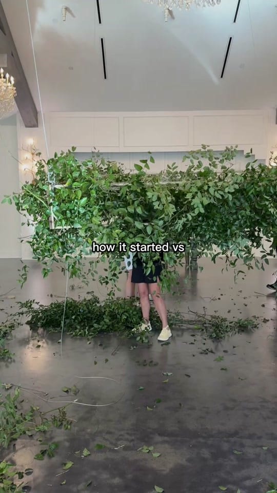 Post 6 by fdellitdesigns on TikTok (video)