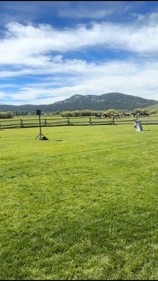 Post 2 by Shelby Johnson on TikTok (video)