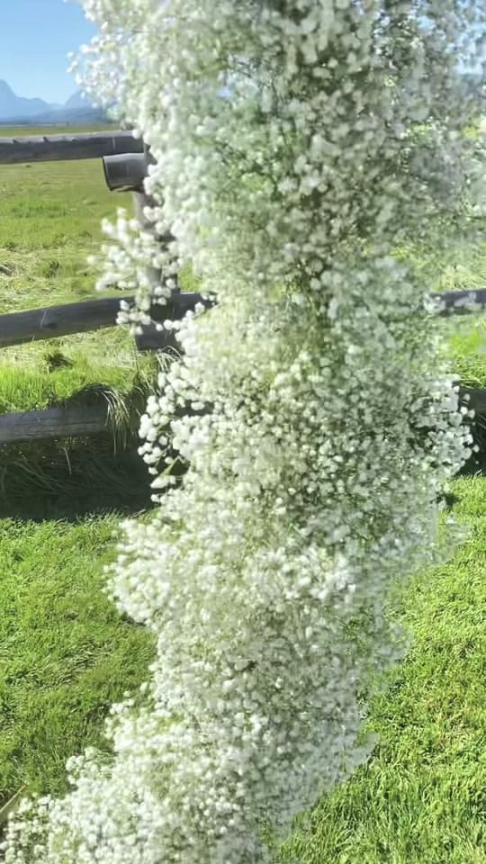 Post 9 by Shelby Johnson on TikTok (video)