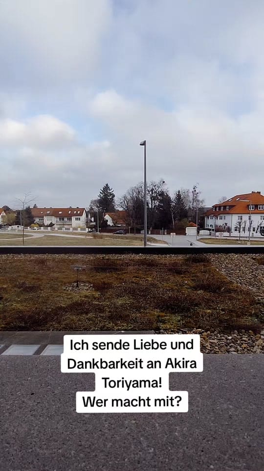 Post 8 by Jotaku on TikTok (video)