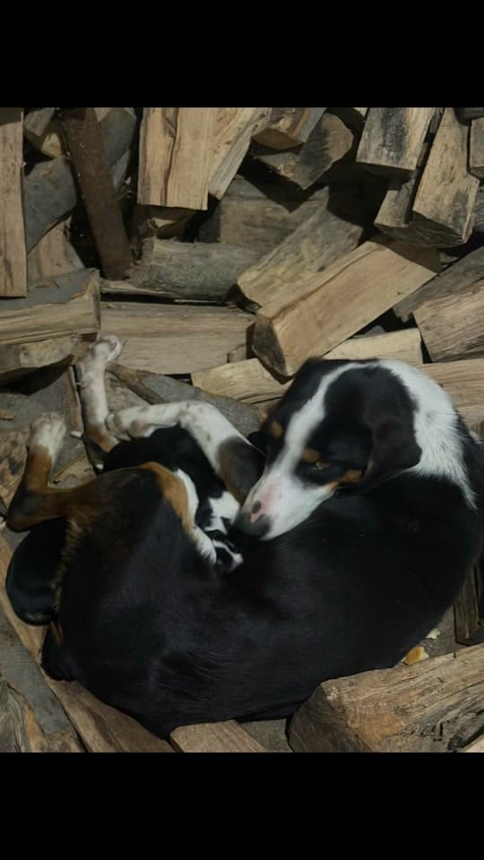 Post 5 by Medina&Leli💕 on TikTok (video)