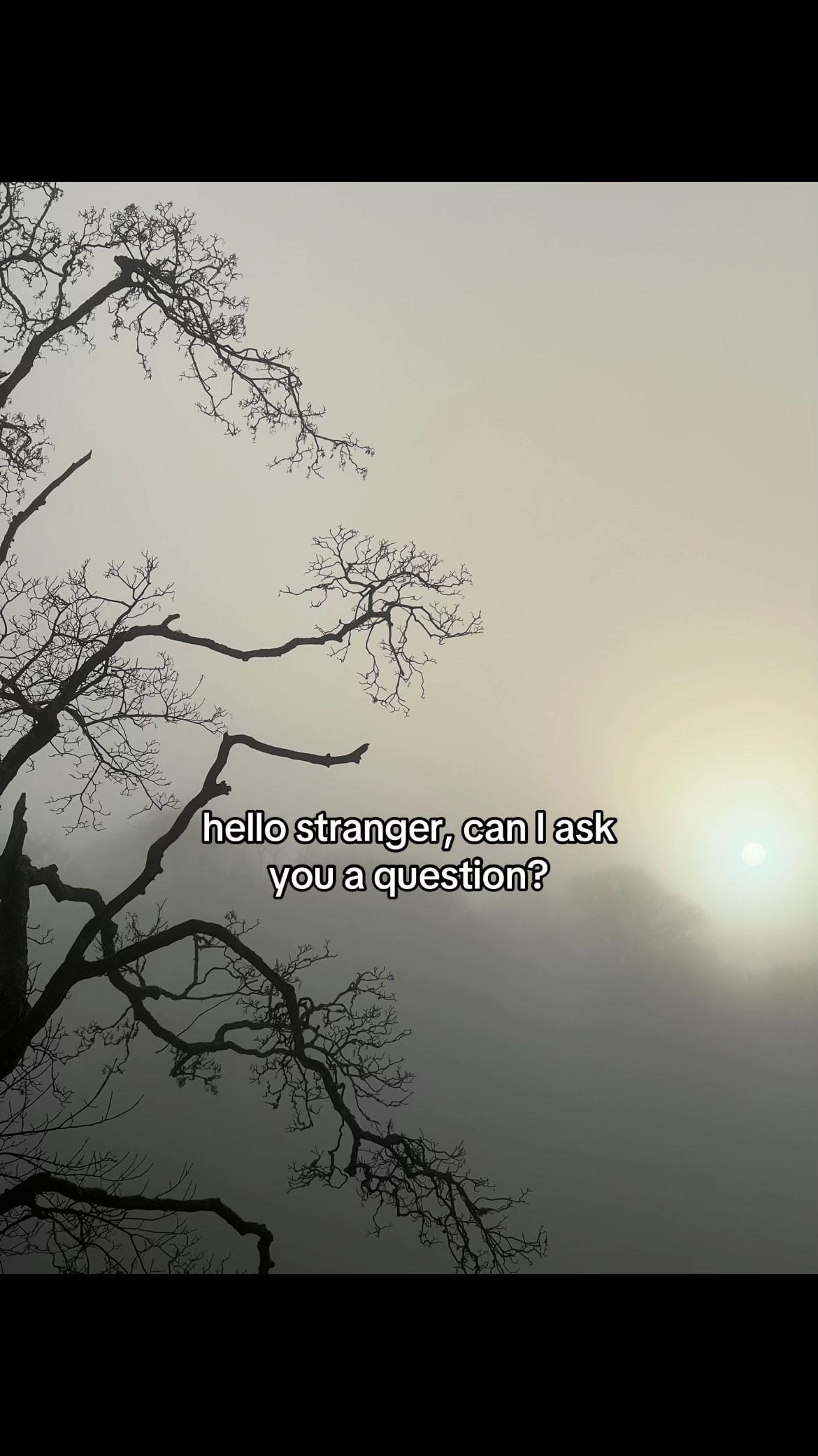 Post 6 by Wyn Oran on TikTok (video)