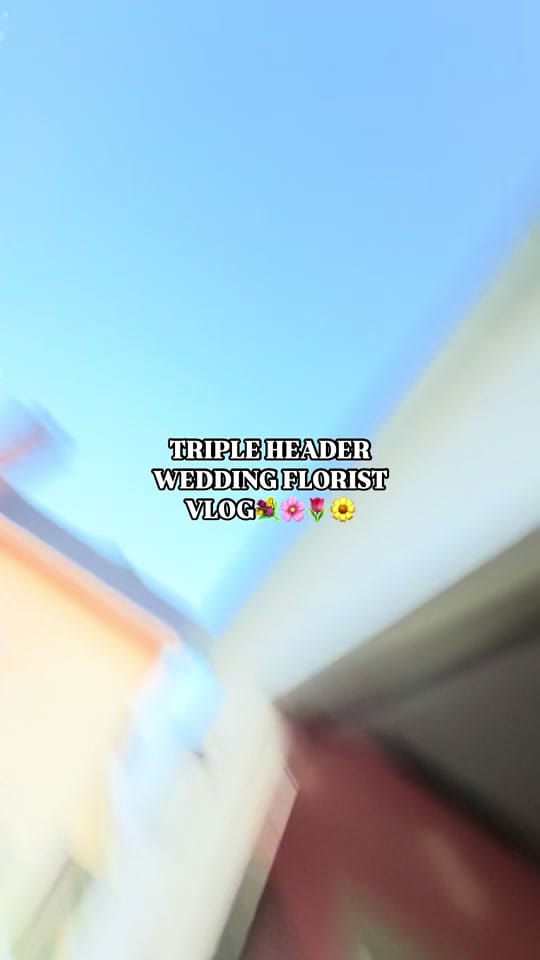 Post 8 by @carleyjeansfloral on TikTok (video)