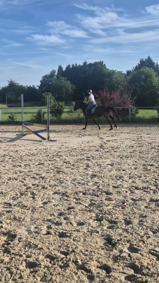 Post 8 by Diana truckerlady on TikTok (video)