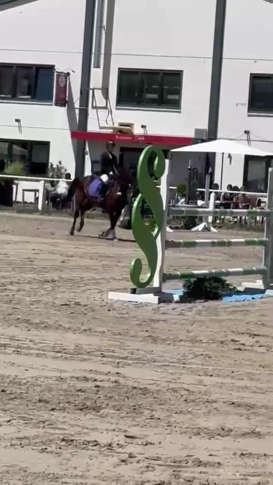 Post 1 by Diana truckerlady on TikTok (video)