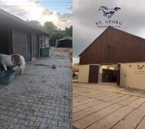 Post 9 by Diana truckerlady on TikTok (video)