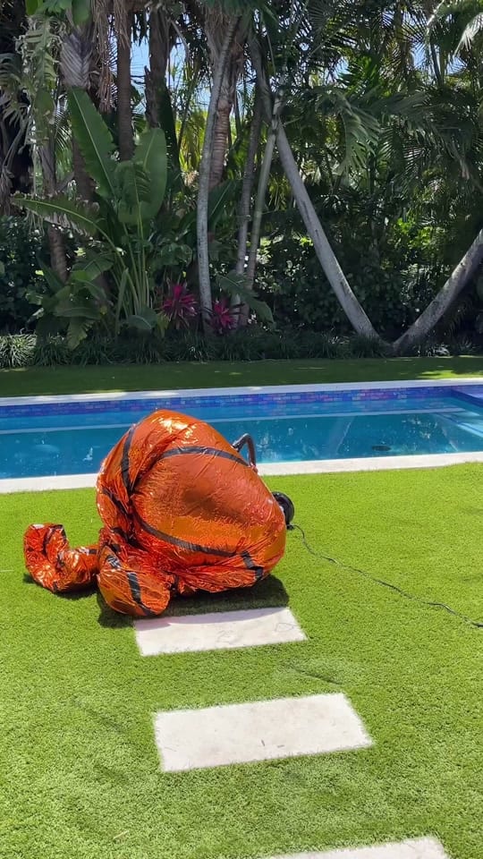 Post 2 by Big Shiny Balls on TikTok (video)