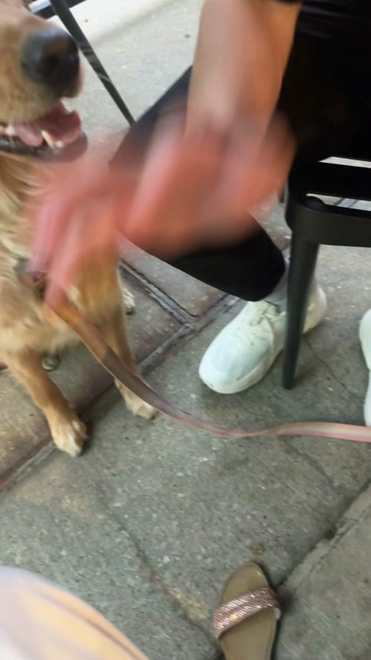Post 6 by 🦢 on TikTok (video)