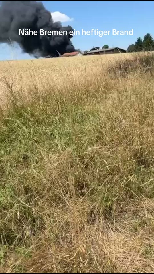 Post 2 by Bremen Entertainment on TikTok (video)