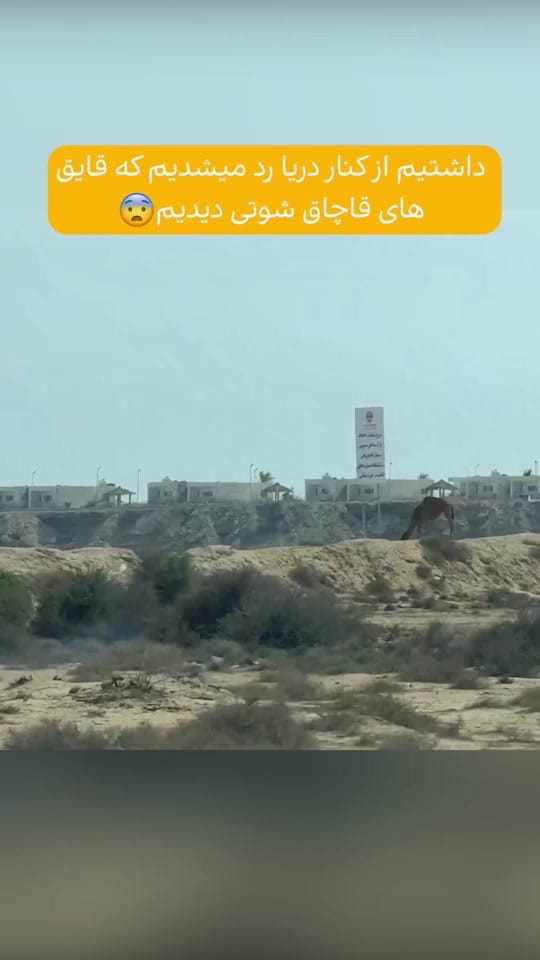 Post 8 by GreazyGaming on TikTok (video)